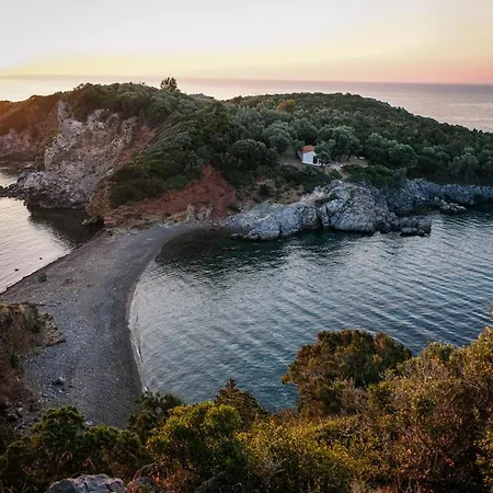Verano *